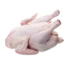 /product-detail/brazil-halal-frozen-whole-chicken-at-best-price-62004051690.html