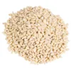 Buy High quality animal feed protein feeding barley for cattle barley grain/Barley Grain and Forage for Beef Cattle.