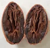 Organic Certified Cocoa Beans and Nibs Original From Indonesia