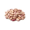 Sugar beans