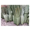seagrass raw material/ natural palm leaf material