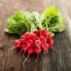 Buy Kingshire Cherry Red Water Radish Seed