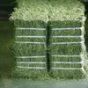 Organic Alfalfa Hay/Alfalfa Grass Hay/Alfalfa Hay Pellets For Animal Feed for sale
