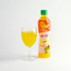 Orange Fruits Juice 25% Concentrate with Nata De Coco 380 ml