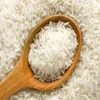 Vietnamese Long Grain White Rice 5% - 10% - 25% broken for all importers -