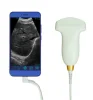 Cheap price 128 elements B&W USB ultrasound convex linear probe for laptop