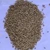 High quality 100% pure cumin seeds
