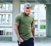 95% Cotton 5% Elastane Mens short Sleeve Fitted T-Shirt Elongated Gym T Shirt