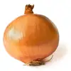 yellow onion from pakistan