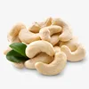 Dried style and raw processing kind CASHEW NUT KERNEL