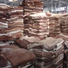 Donkey Hide, Dry and Wet Salted Donkey Hides