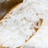 Thailand Long Grain White Rice for sale