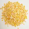 Export Quality Maize Grits/ Corn Grits 101 and Type 108