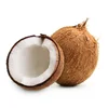 Good Price fresh Husked mature whole coconut