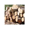 /product-detail/white-pine-logs-for-sale-62004467028.html