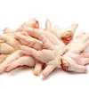 /product-detail/top-supplier-premium-grade-1-processed-frozen-chicken-feet-paws-for-sale--62005121988.html