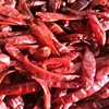 RED CHILLI DRIED 334 WITHOUT STEM FROM NIK-MAY EXPORTS LLP ORIGIN INDIA