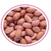 Demand on Peanuts Splits