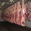 HALAL Quality Beef and Cow parts Supplier frozen beef price