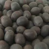 Black lotus seed/ cheapest/qualily