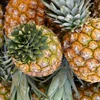 FRESH PINEAPPLE FROM VIETNAM