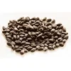 High Nutrition Contained Organic Tukmaria Basil Seeds Exporter