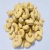 VIETNAM CASHEW NUT FROM VILACONIC GROUP SUPPLIER