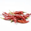 RED CHILLI DRIED S4 WITH STEM FROM NIK-MAY EXPORTS LLP ORIGIN INDIA