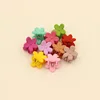 Stylish Girls Hair Accessories Women cute Claws Small Acetate Hair Clamp Claws With Plastic Bottom Clips For Ladies