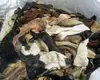 Wet Salted Deer Skins/Wet Salted, Donkey Hides/Wet Salted Horse Hides All hides,,