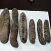 HIGH QUALITY DRIED SEA CUCUMBER -WHITE TEAT FISH- BLACK PRICKLY FISH FROM VIETNAM