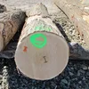 /product-detail/oak-beech-pine-ash-and-beech-round-logs-62003775601.html