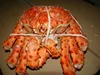 Cooked King Crab