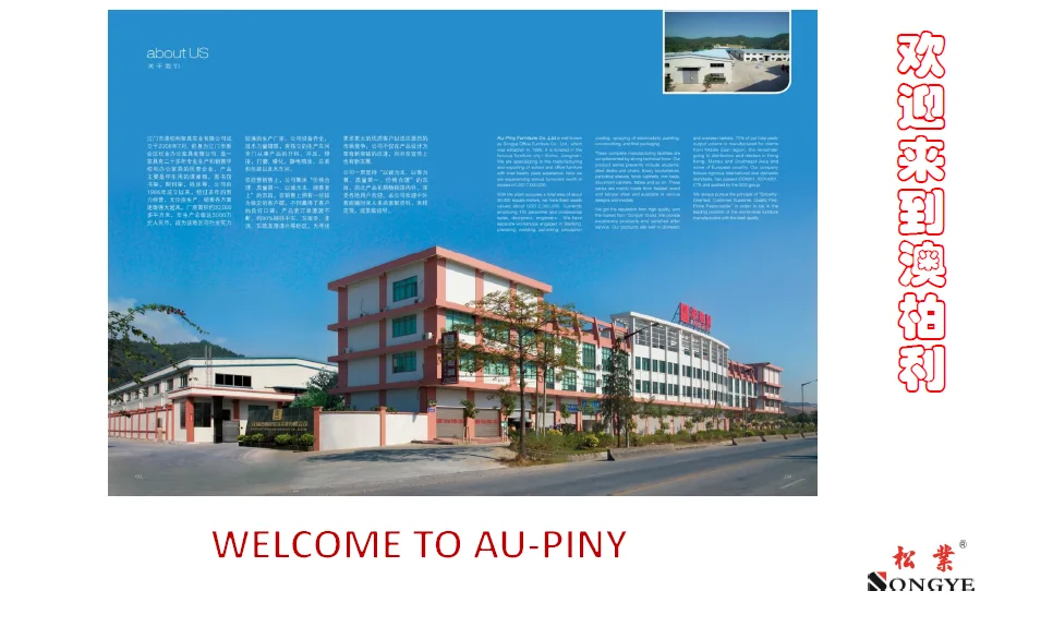 welcome to au-piny