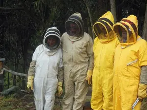 Honey bee uniform Honey bee uniform
