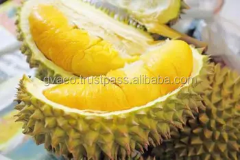 Unduh 720 Koleksi Gambar Durian Terbaik Terbaru HD