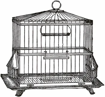 Metal Wire Large Bird Cage Decorative Bird Cage Garden And Home