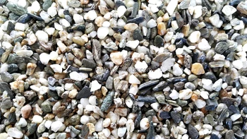 Natural Mix Color Premium Gravel Pebble Stone Seki Buy Natural Pebble Stone Product On Alibabacom - 