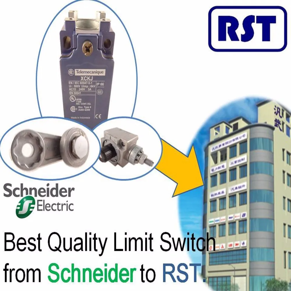 Ip66 Safety Limit Switches For Gate Opener Buy Limit Switches,Gate