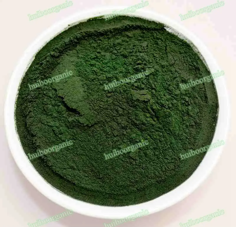 spirulina_02
