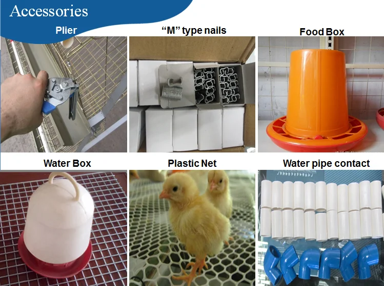 Kenya Farm Use poultry chicks cage for sale /used poultry cage