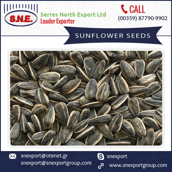 Striped Sunflower Seeds For Sale Buy Black Sunflower Seeds