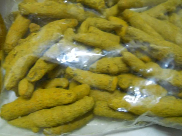 Turmeric 087.jpg