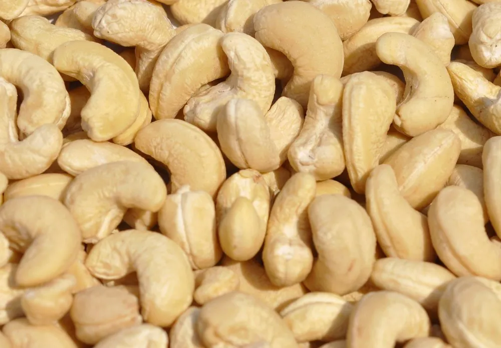 cashew nut price online
