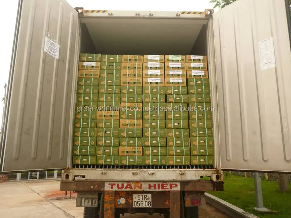 DA TI XUT M 11 - 07 - 2014.jpg