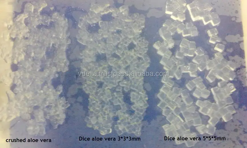 Copy of Aloe vera.jpg