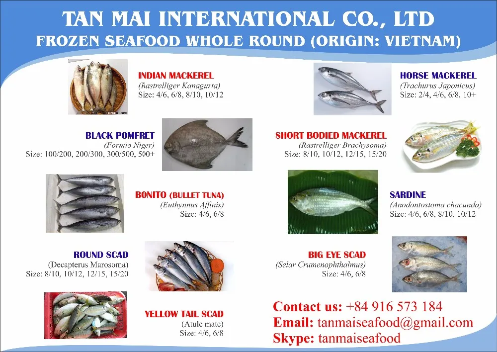 Sardines For Canning Factory Buy Sardine For Bait On Sale,Frozen