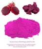 HQ Vacuum Freeze Dried Red Dragon fruit powder from Thailand ( Thai Ao Chi Fruits )