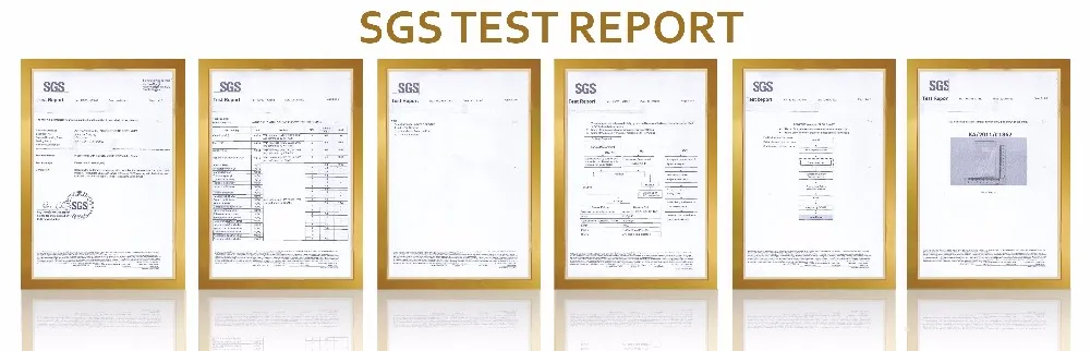 SGS TEST REPORT-01