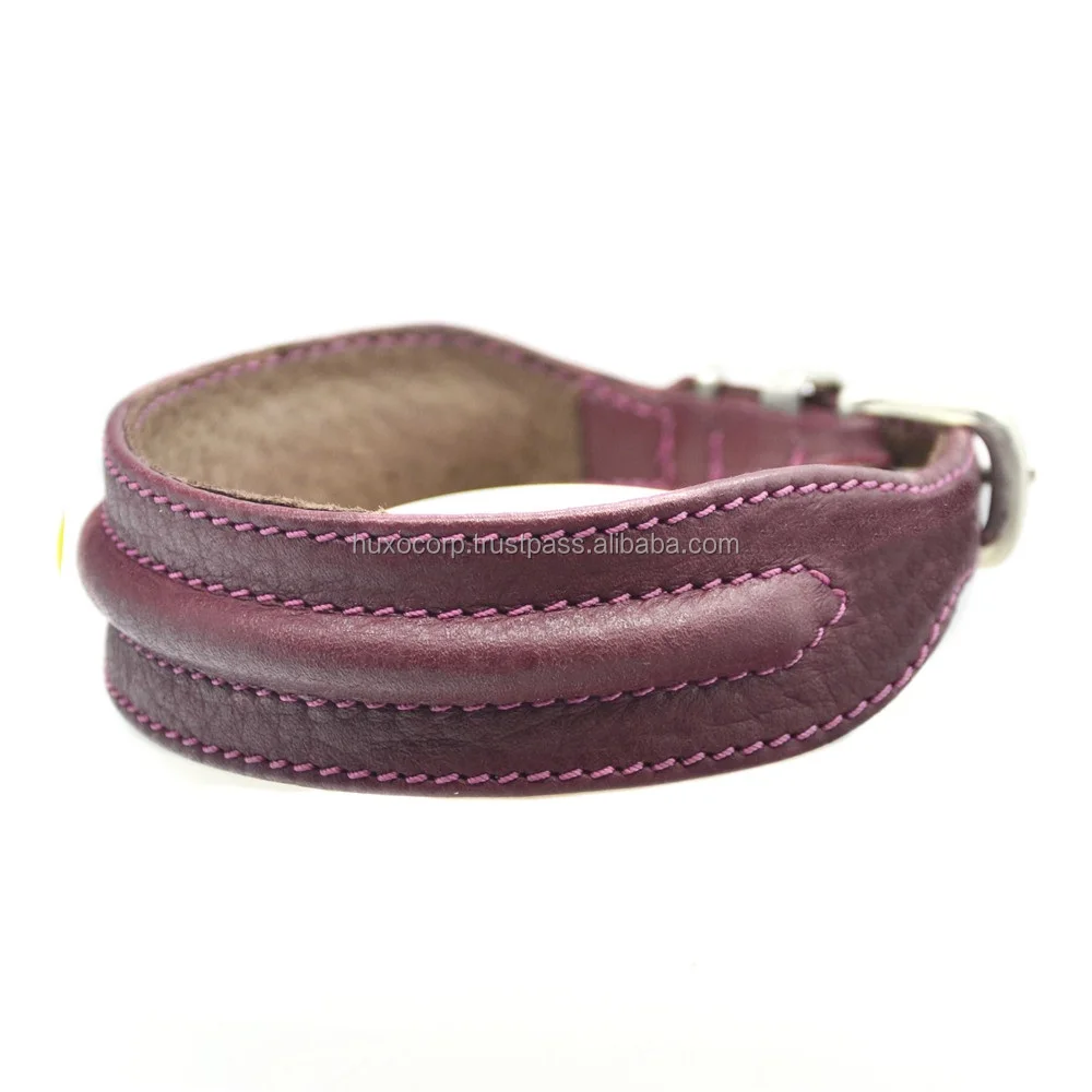 logical leather padded dog collar